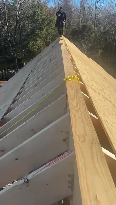 Video: new build — roof sheathing